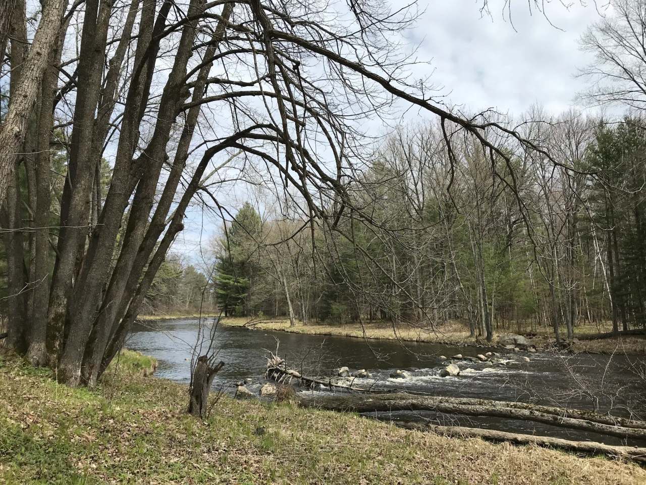Chequamegon Waters Dispersed Recreation Area — photo 3