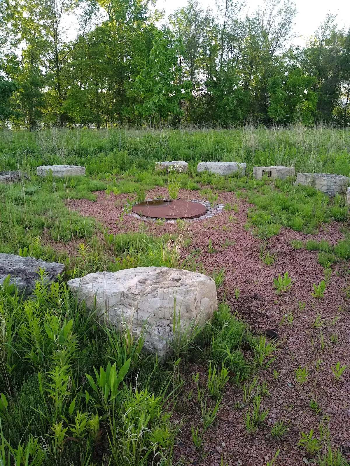 Wild Ones Natural Landscapers — photo 1