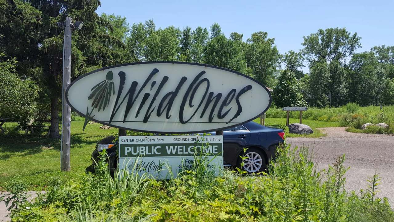 Wild Ones Natural Landscapers — photo 2