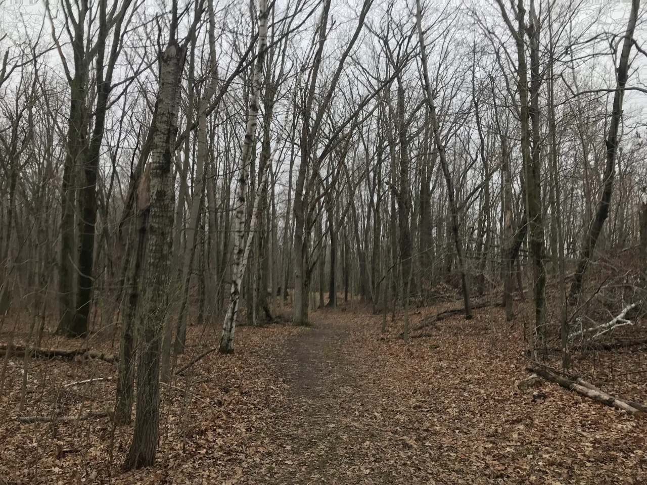 Kettle Moraine State Forest — photo 1