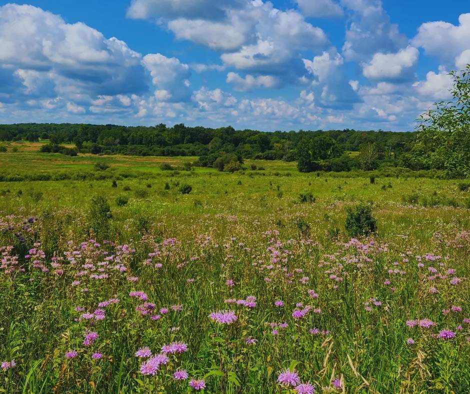 Waukesha County Land Conservancy — photo 1