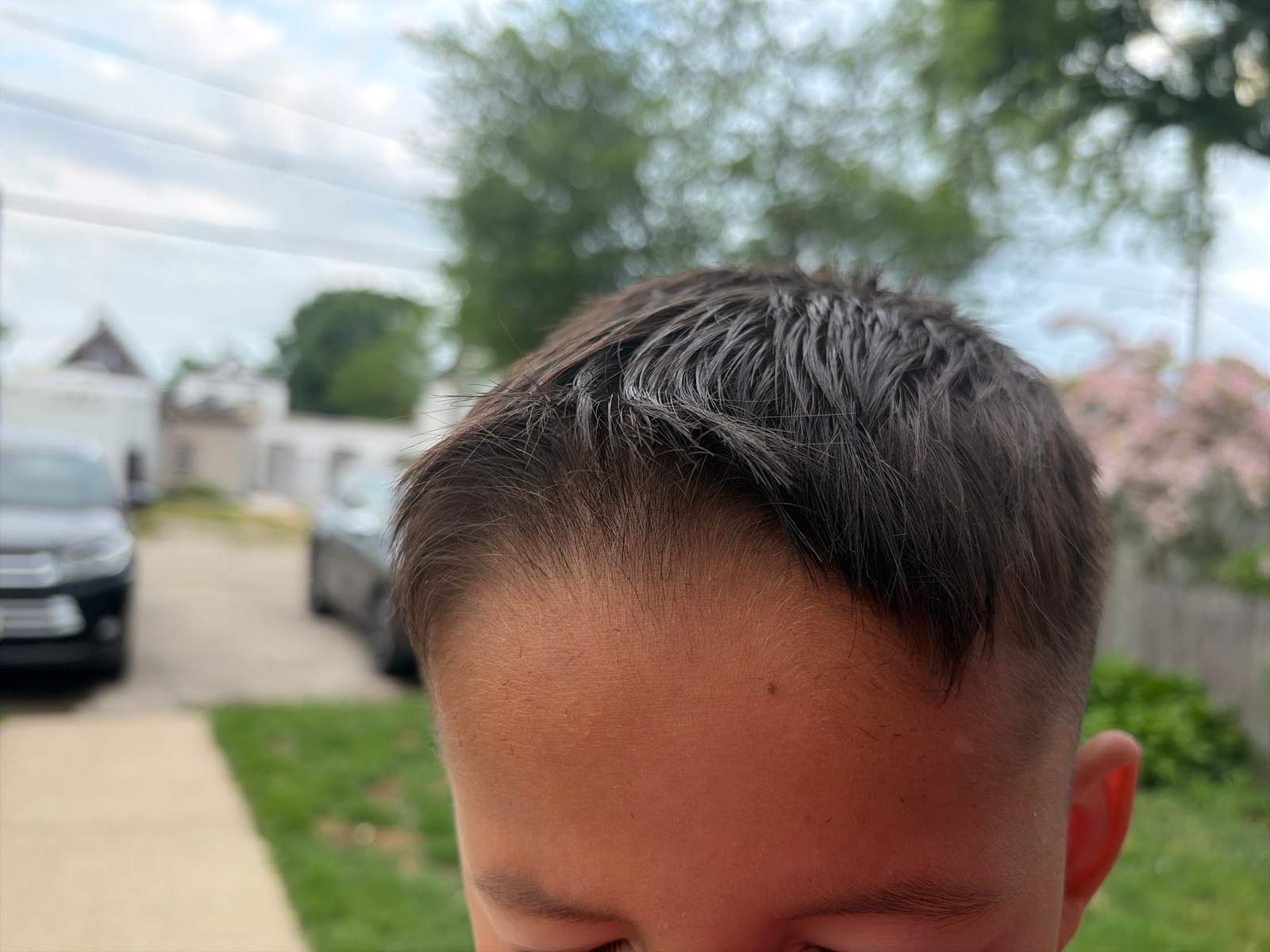 Cairo Cuts 1 | Greenfield — photo 2