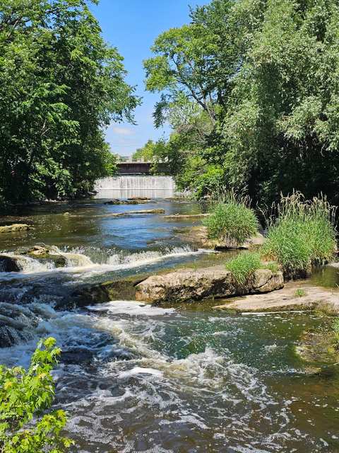 Cedar Creek Park — photo 3