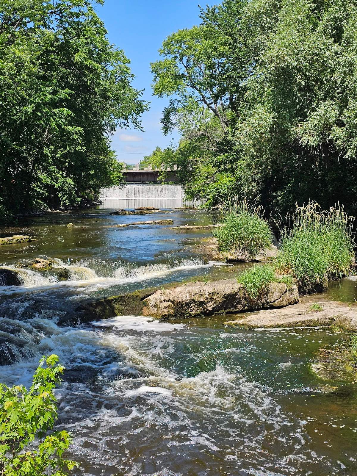 Cedar Creek Park — photo 3