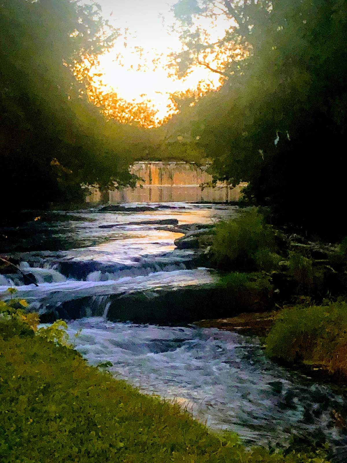 Cedar Creek Park — photo 10