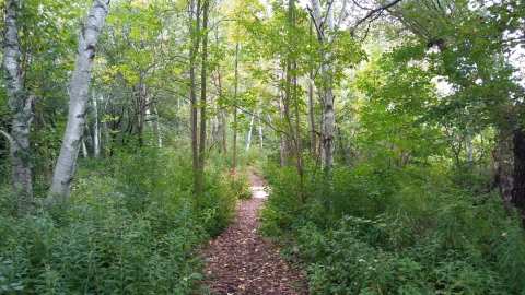 Old Plank Road: Erie Ave Trailhead — photo 2