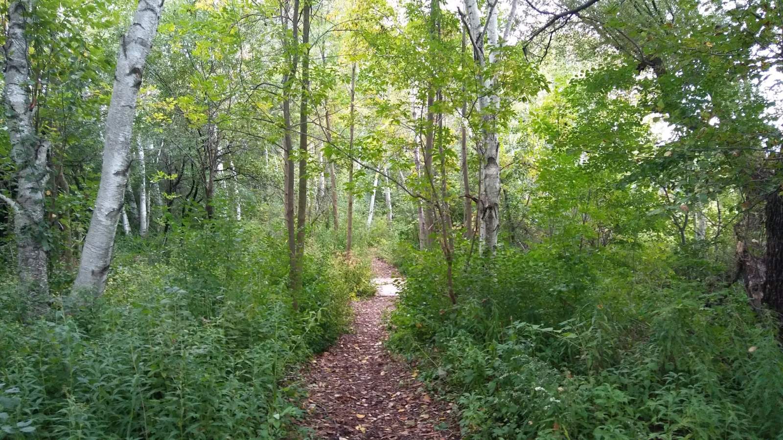 Old Plank Road: Erie Ave Trailhead — photo 2