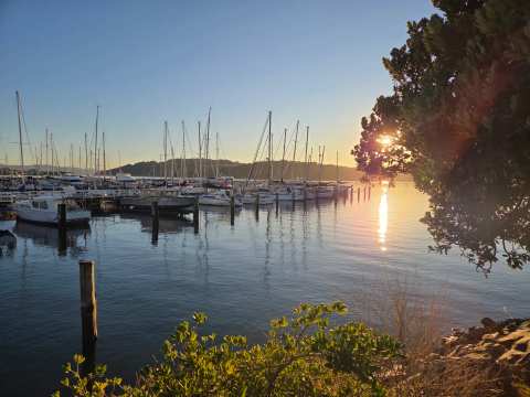 Evans Bay Marina — photo 3