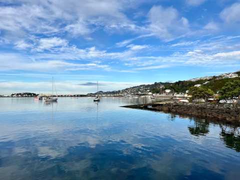 Evans Bay Marina — photo 2
