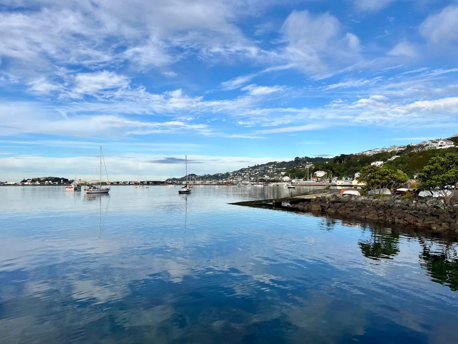 Evans Bay Marina — photo 2