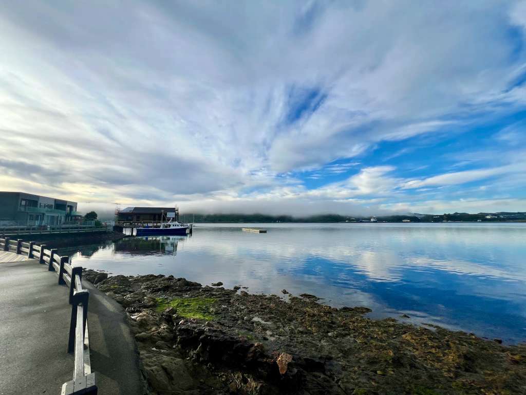 Evans Bay Marina