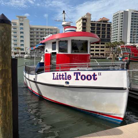 Little Toot Dolphin Adventure — photo 2