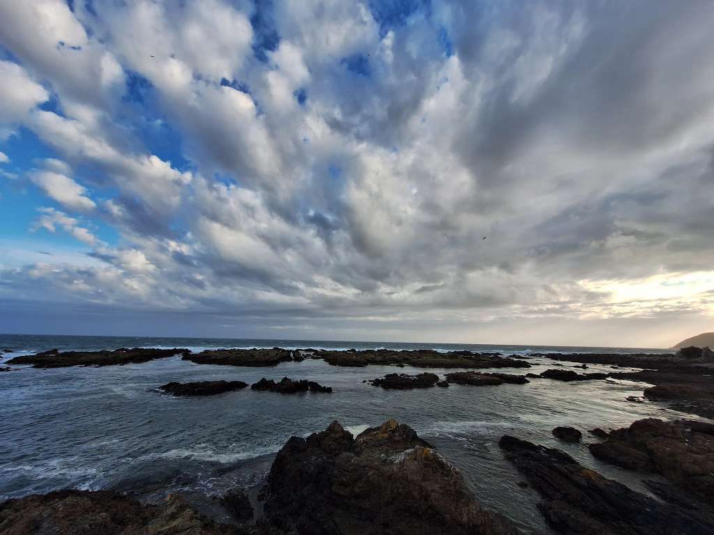 Taputeranga Marine Reserve