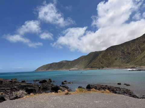 Taputeranga Marine Reserve — photo 3