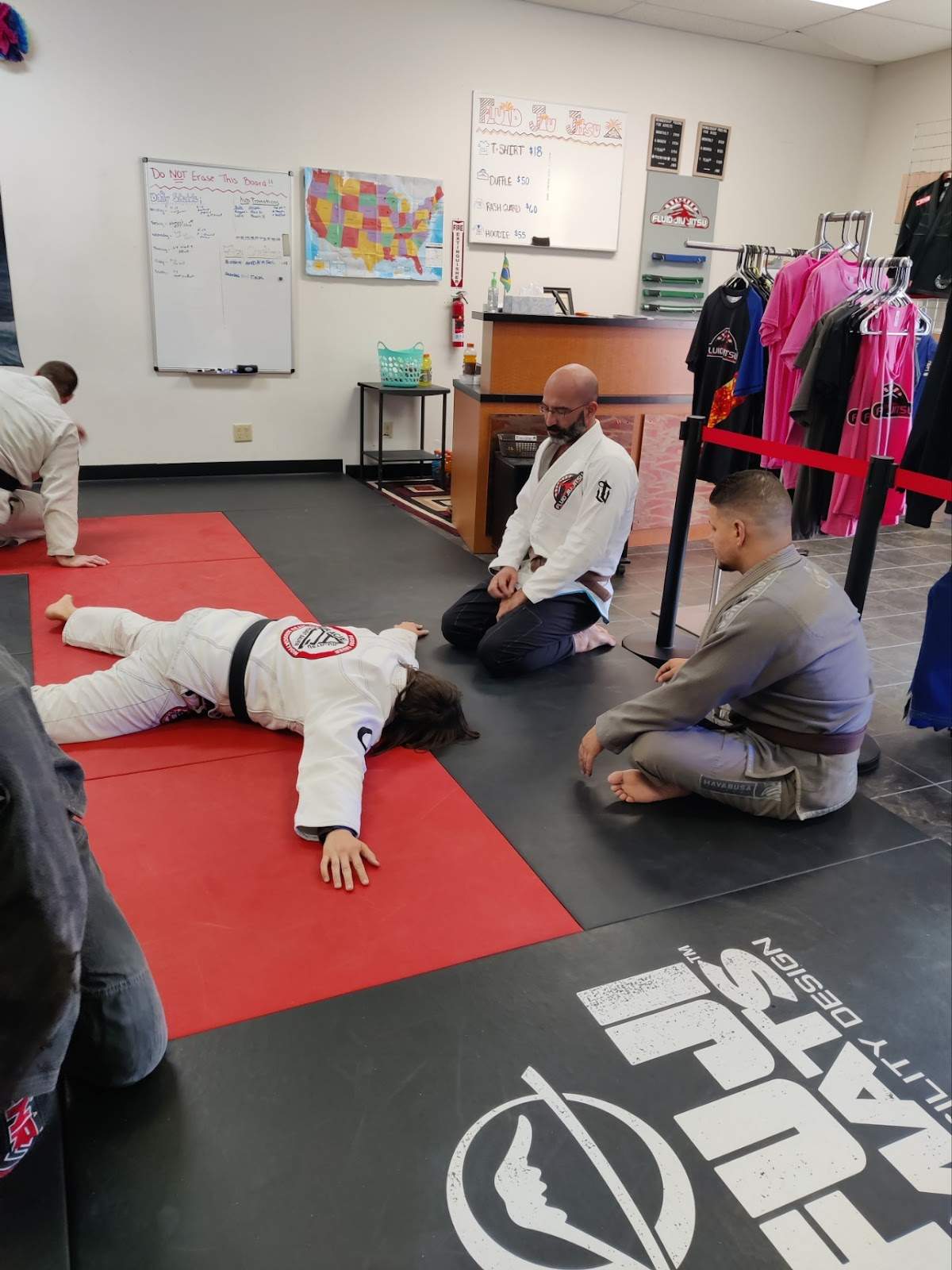 Fluid Brazilian Jiu Jitsu — photo 1