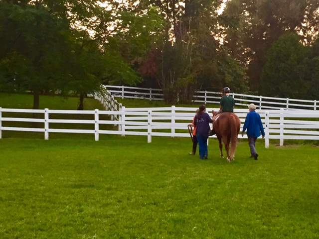 Heaven's Gait Ranch, Therapeutic Riding Center — photo 2