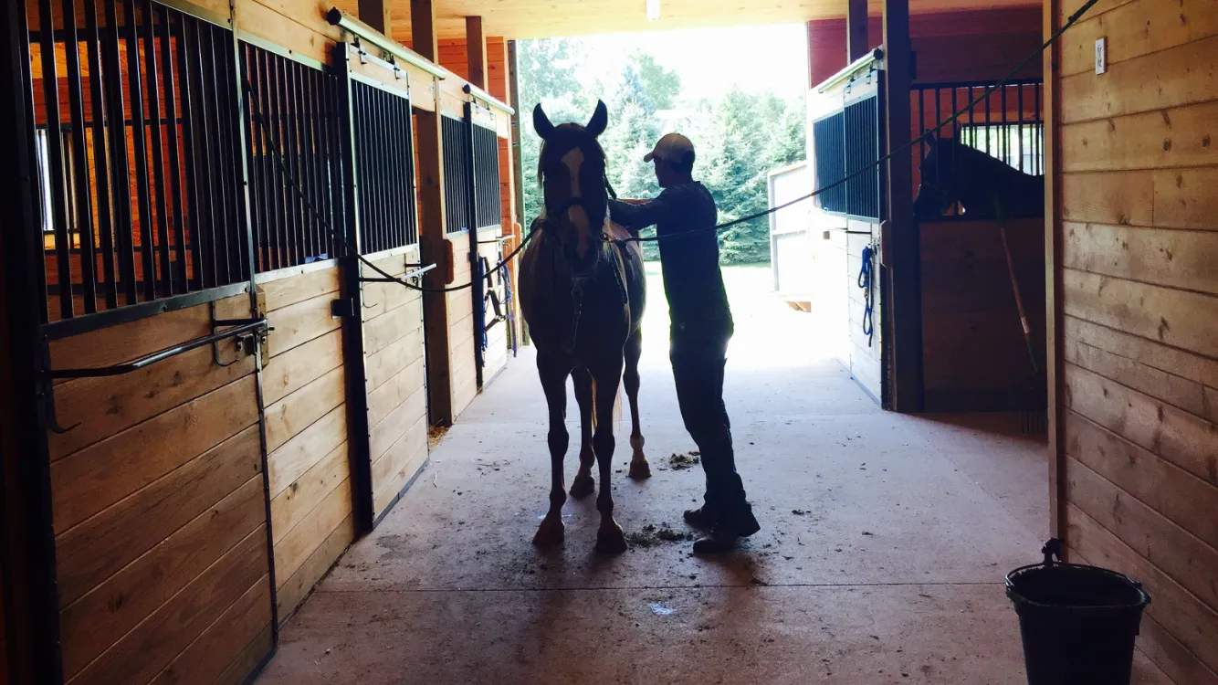 Heaven's Gait Ranch, Therapeutic Riding Center — photo 3