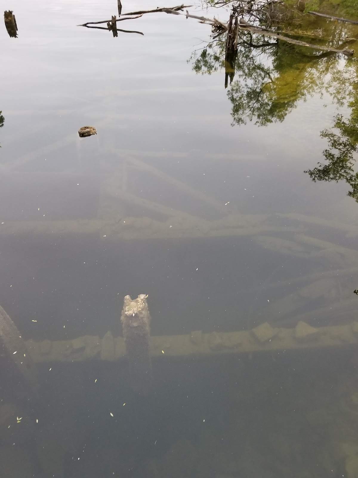 Quarry Lake — photo 2