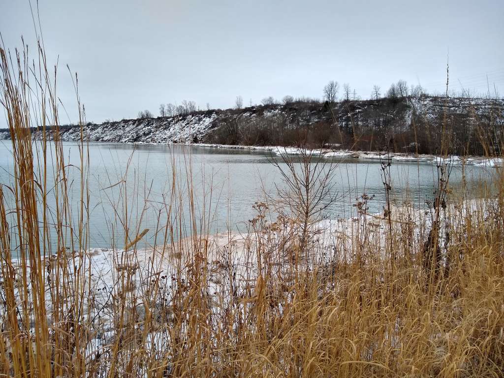 Port Washington Avian Sanctuary
