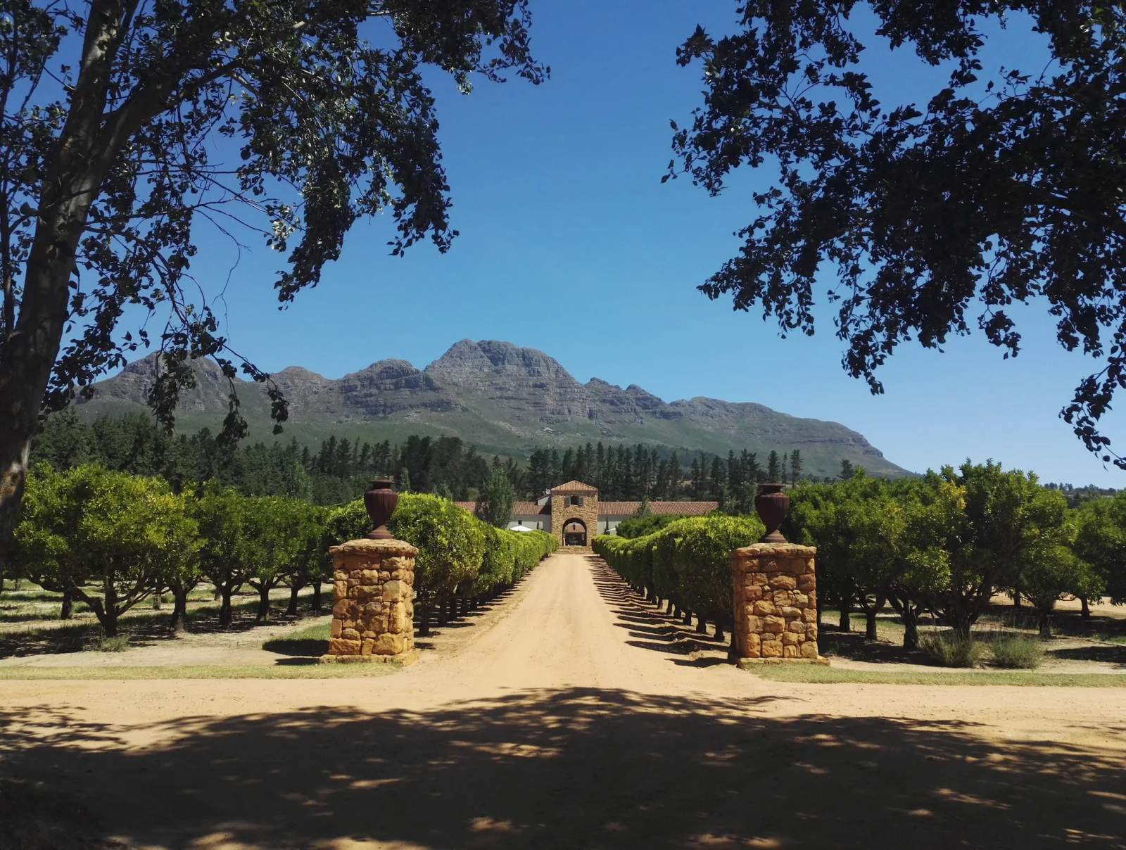 Waterford Estate — photo 4