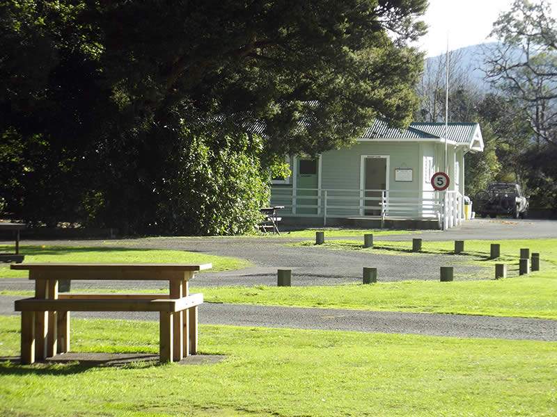Greytown Campground — photo 3