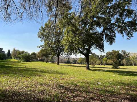 Caravan Park Bezuidenhout Park — photo 3