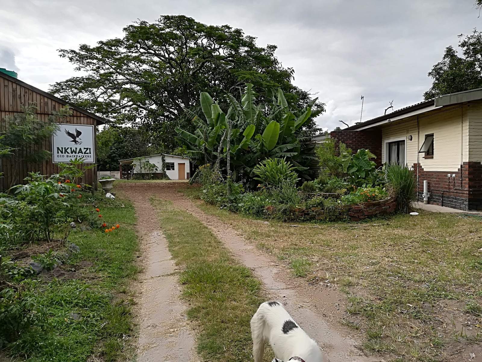 Nkwazi Eco Backpackers — photo 1