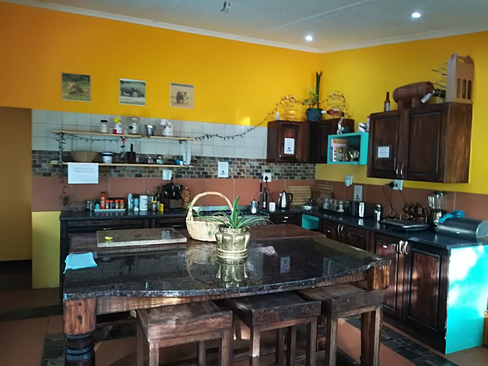Nkwazi Eco Backpackers — photo 4