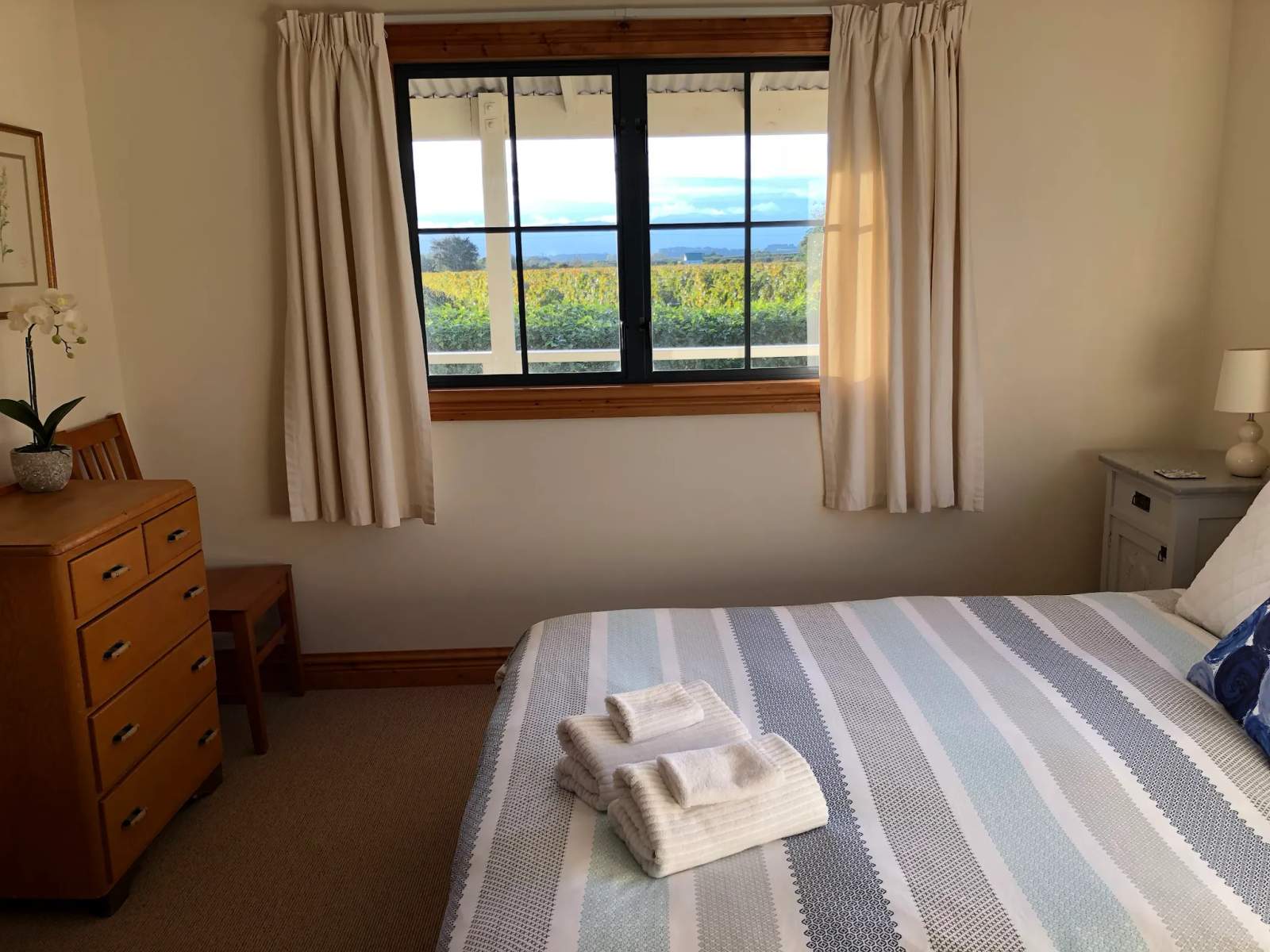 Dara Vineyard Cottage Martinborough — photo 4