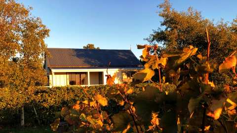 Dara Vineyard Cottage Martinborough — photo 3