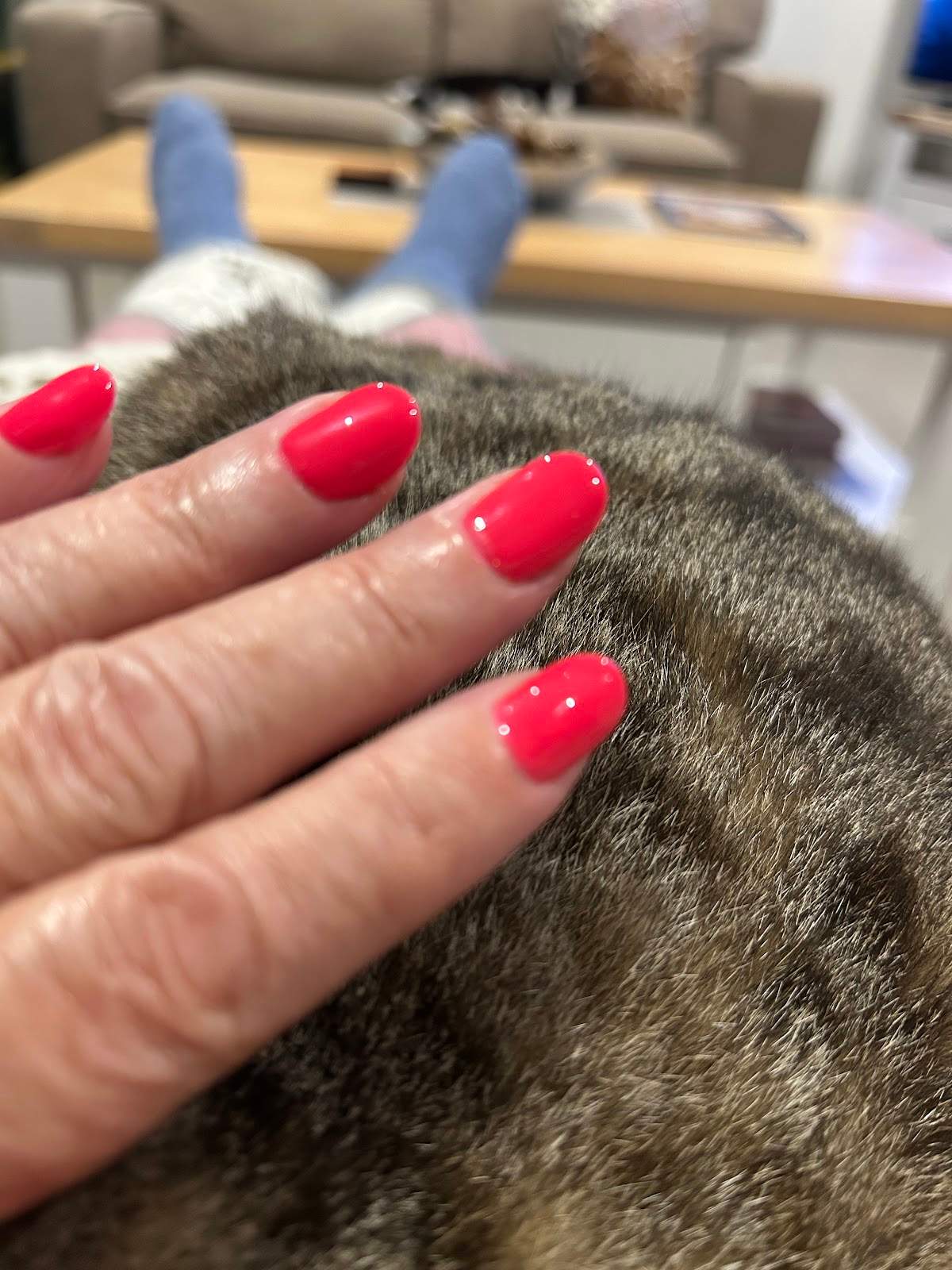 The Beauty Studio — photo 1