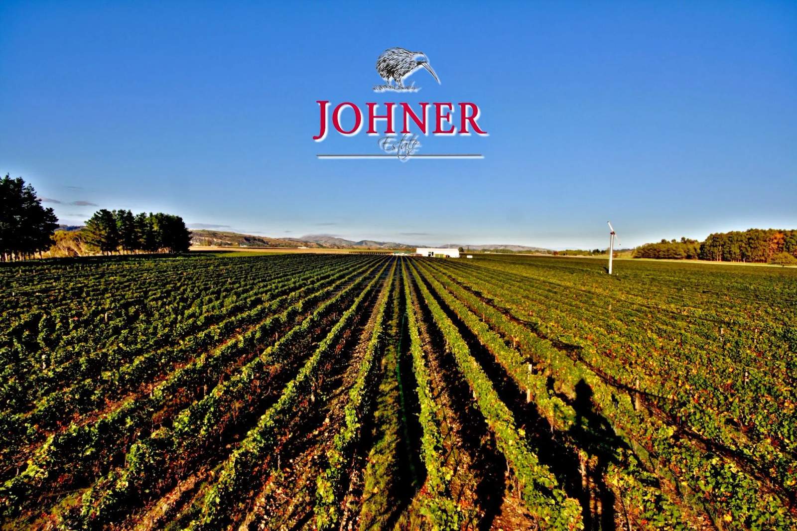 Johner Estate — photo 1