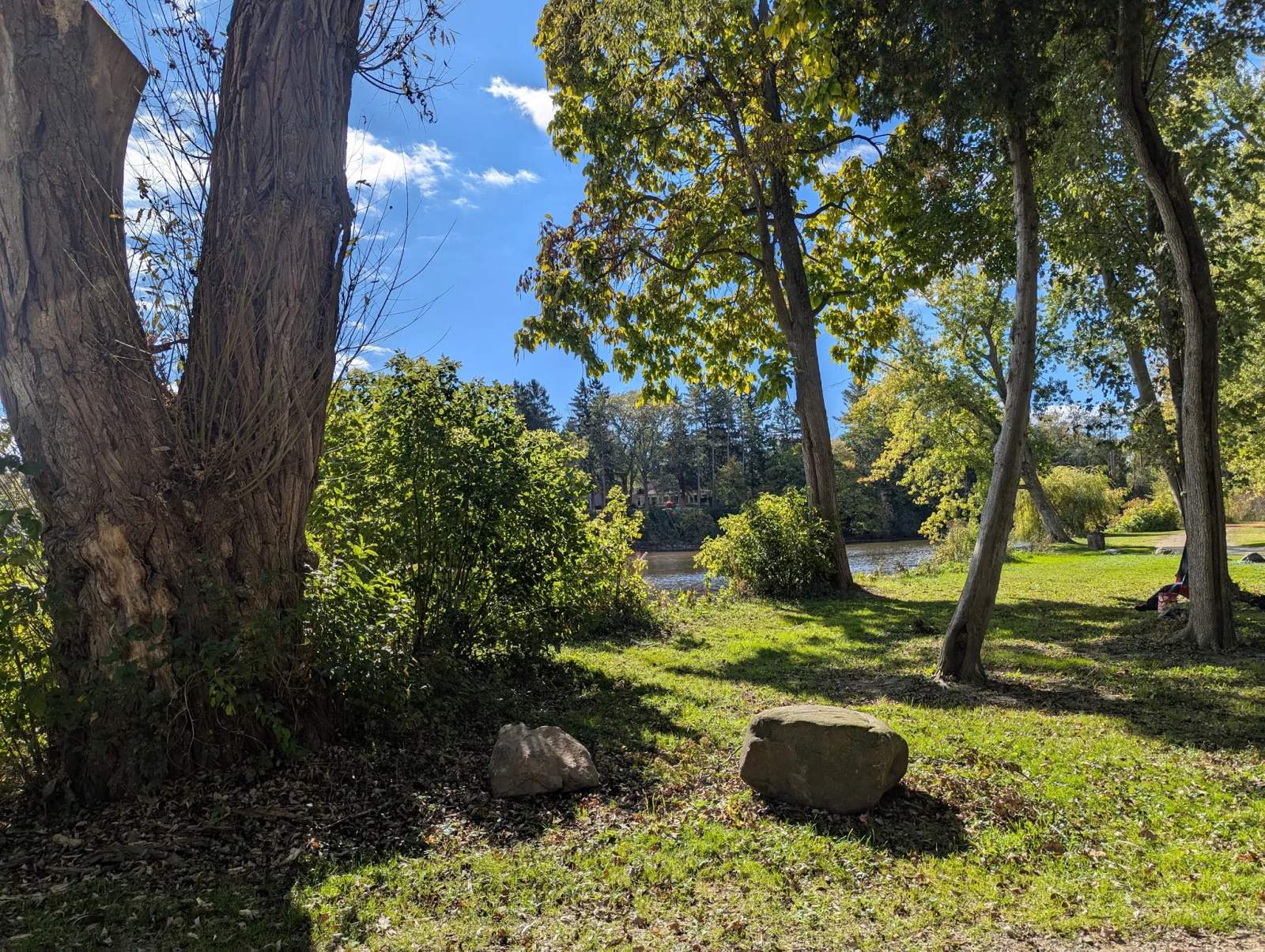 Villa Grove Park — photo 3