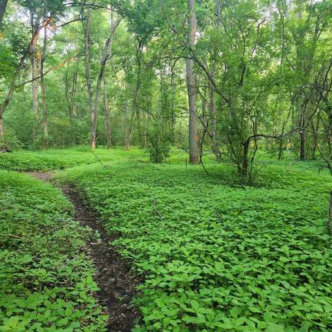 Little Menomonee Nature Preserve — photo 2