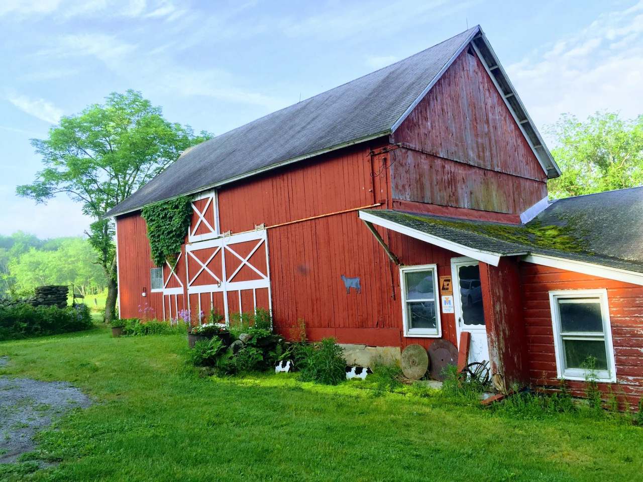 Constitution Oak Farm — photo 1