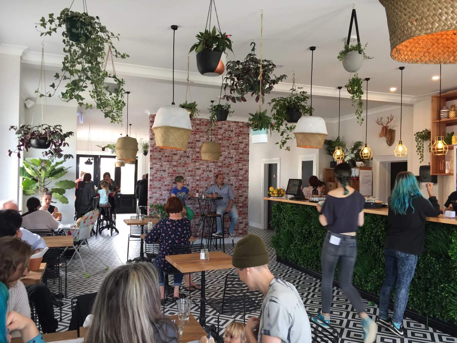 The Botanist — photo 1