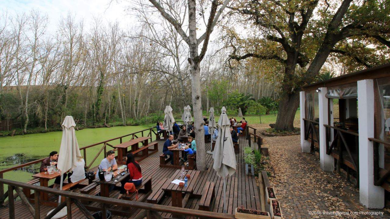 D'Aria Winery — photo 2
