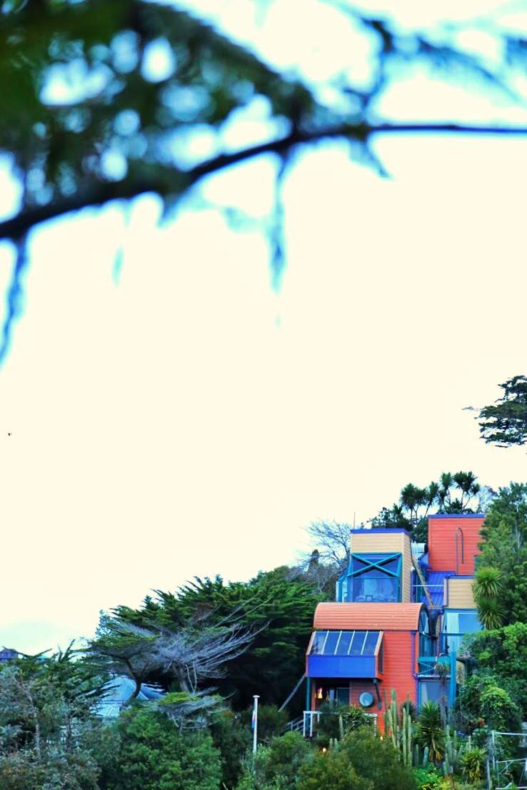 Koromiko Homestay — photo 3