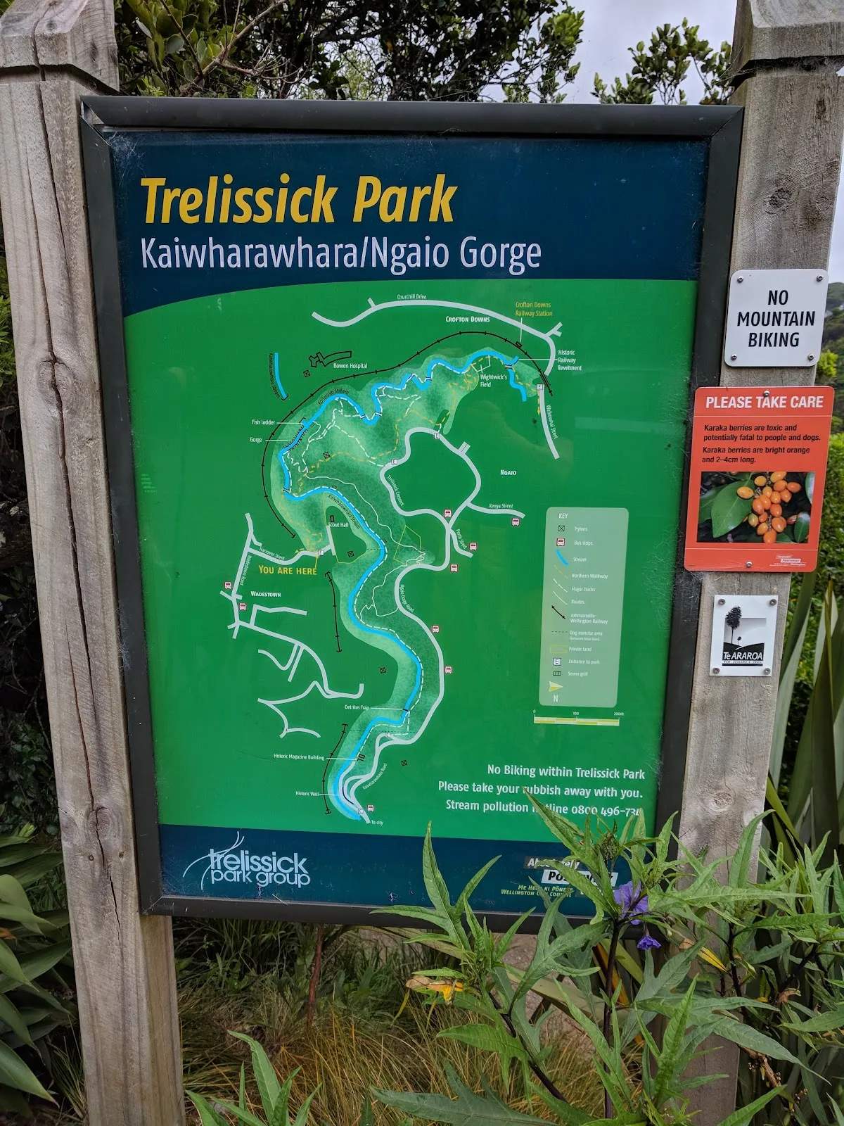 Trelissick Park — photo 3