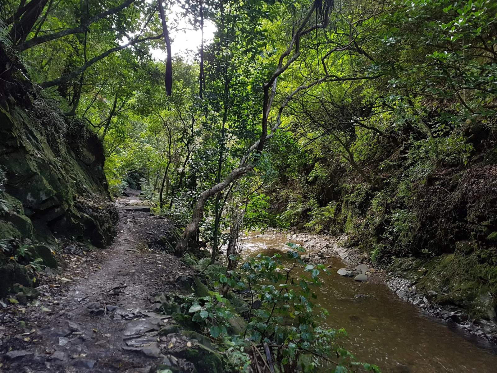 Trelissick Park — photo 2