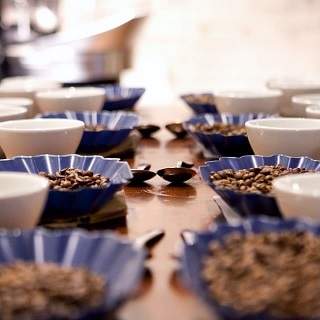 Stone Creek Coffee - Factory Café — photo 2