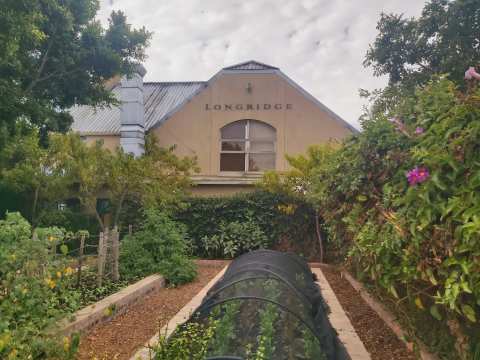 Longridge Wine Estate — photo 2