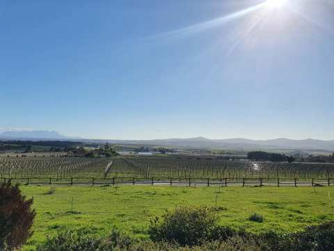 Longridge Wine Estate — photo 3