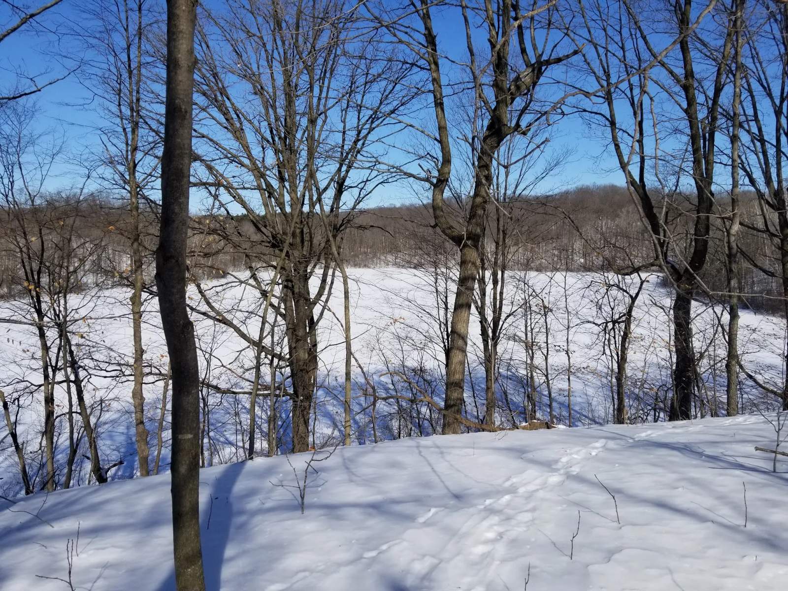 New Fane Trail Area — photo 1