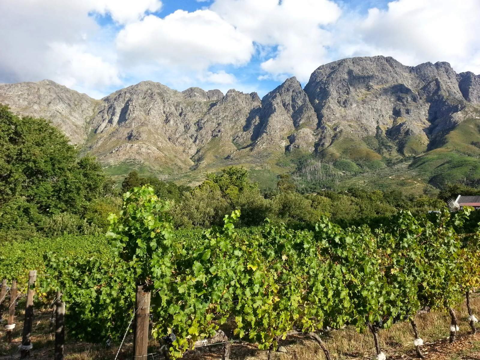 African Story Wine Tours (Tasting only on tours) — photo 1