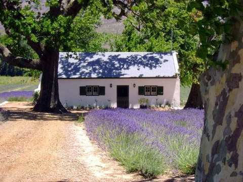 African Story Wine Tours (Tasting only on tours) — photo 4