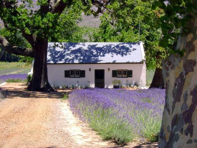African Story Wine Tours (Tasting only on tours) — photo 4