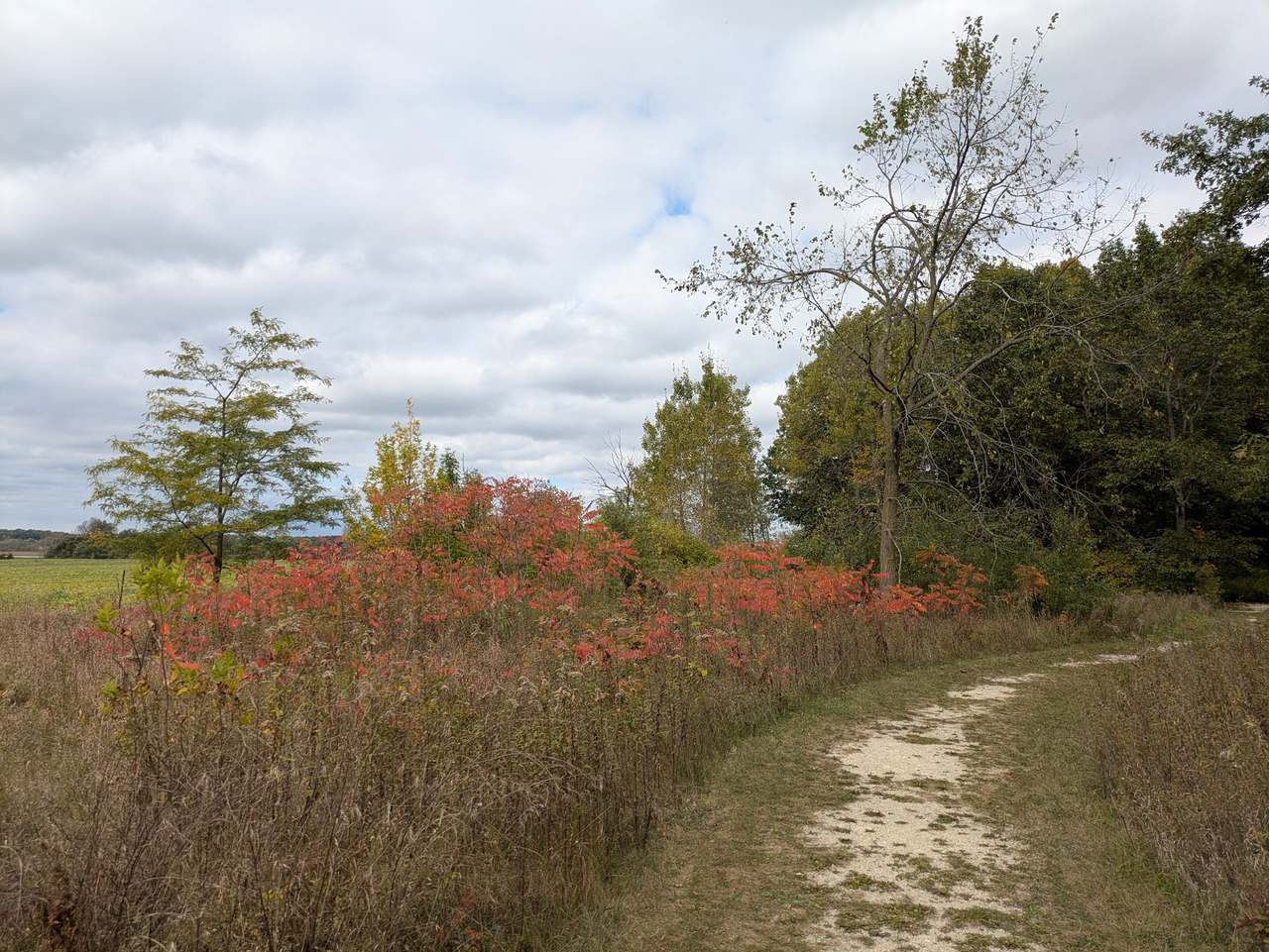 Lizard Mound State Park — photo 1