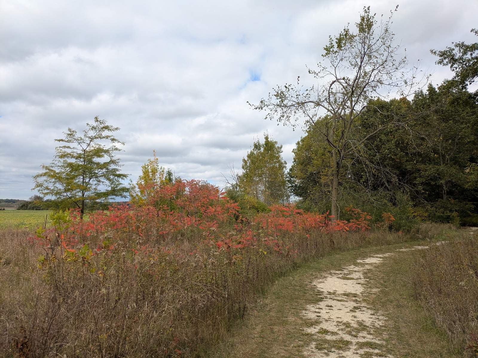 Lizard Mound State Park — photo 1