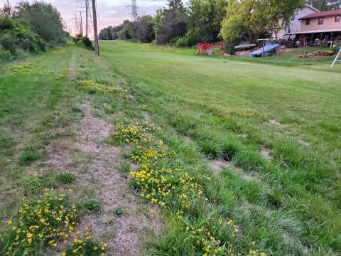 The Powerline Trail (trailhead 1 eastbound) — photo 2